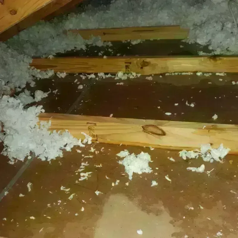 Attic Water Damage in Clarkston, WA