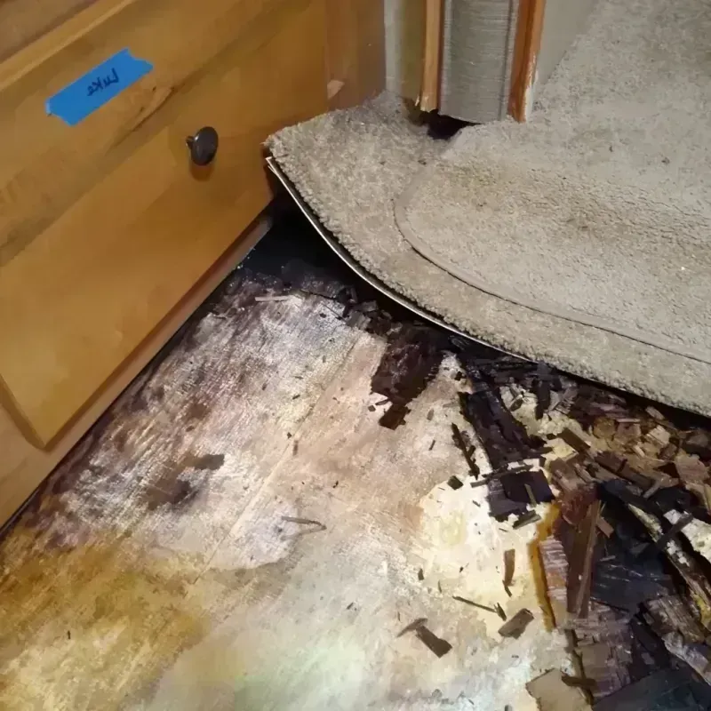 Wood Floor Water Damage in Clarkston, WA